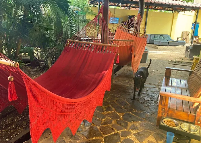Hostel: Tamarindo Backpackers